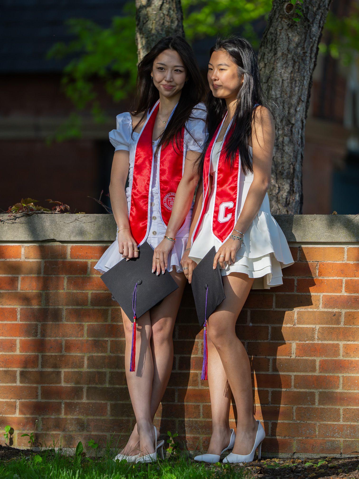 Cornell Graduation 2026